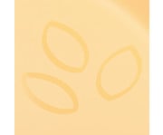 Betzold Becher 5
