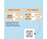 Meine Grammatikdose – Singular Plural 4