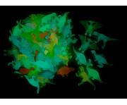 Dinosaurier Glow in the Dark 50 Stück 5