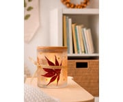 Glasgefässe mit Holzdeckel blanko 12 Stück 4