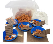 teifoc Kita und Primarschulbox Steinbaukasten M für 5 Kinder 1