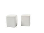 Salz und Pfefferstreuer blanko 6er Set