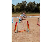 Springparcours Feuer – Hobby Horsing 3