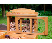 Insekten und Pflanzenbeobachtungsstand 2