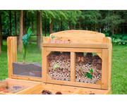 Insekten und Pflanzenbeobachtungsstand 6