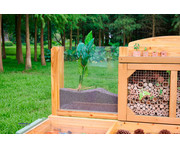 Insekten und Pflanzenbeobachtungsstand 7