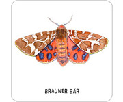 Expedition Natur – Das grosse Insekten Memo 3