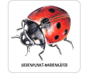 Expedition Natur – Das grosse Insekten Memo 7