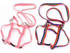 Pferdegeschirr für Kinder Nylon