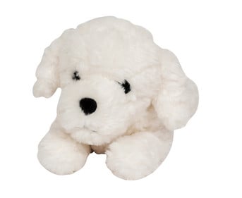 Gewichtstier Hund 0 6 kg