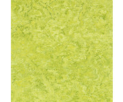 EduCasa Kleines Podest Rechteck 100 x 50 cm 7