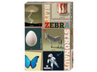 Blitz Zebra Astronaut – Das Wortkettenspiel