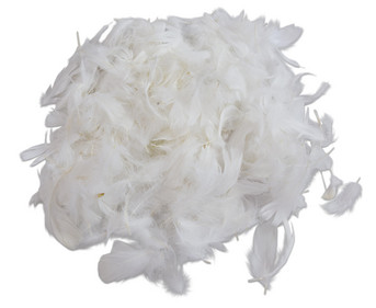 Bastelfedern weiss