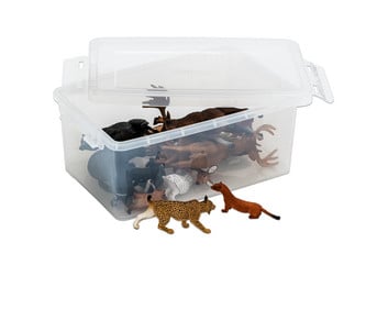 Betzold Waldtiere Europa Set 15 tlg