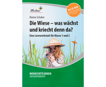 Lernwerkstatt: Die Wiese was wächst und kriecht denn da?