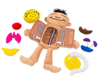 Was ist in meinem Körper Puppe