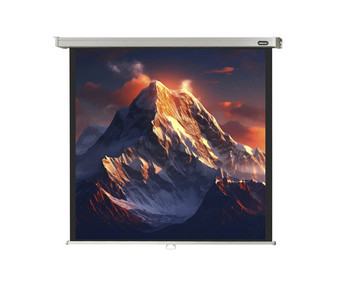 Leinwand Professional