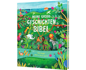 Meine grosse Geschichten Bibel